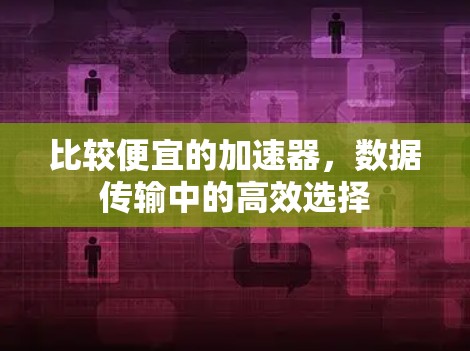 比较便宜的加速器,数据传输中的高效选择 比较便宜的加速器,数据传输中的高效选择
