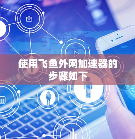 使用飞鱼外网加速器的步骤如下