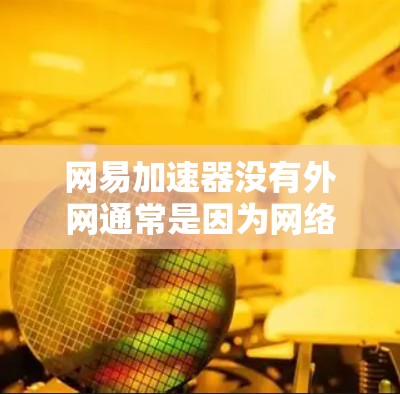 网易加速器没有外网通常是因为网络连接不稳定或已经被其他软件占用。以下是常见的解决方法