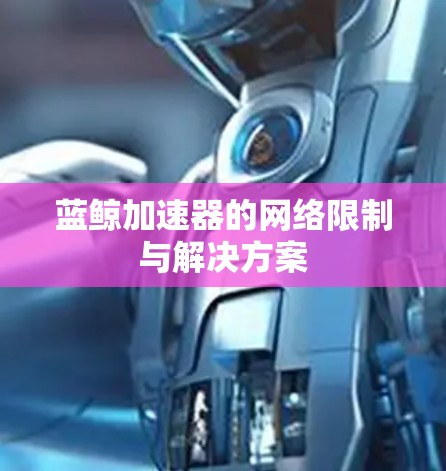 蓝鲸加速器的网络限制与解决方案