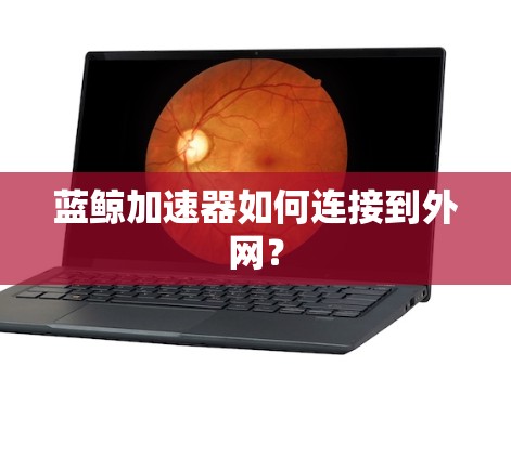 蓝鲸加速器如何连接到外网？