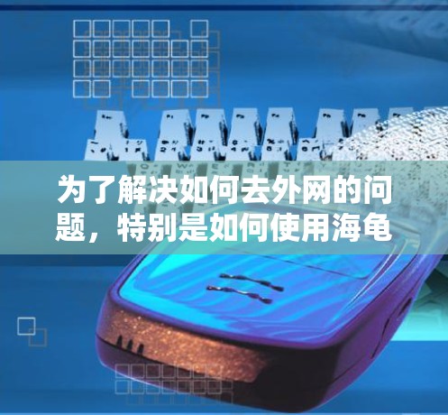为了解决如何去外网的问题，特别是如何使用海龟加速器来加速游戏或网站，以下是一个分步的解决方案