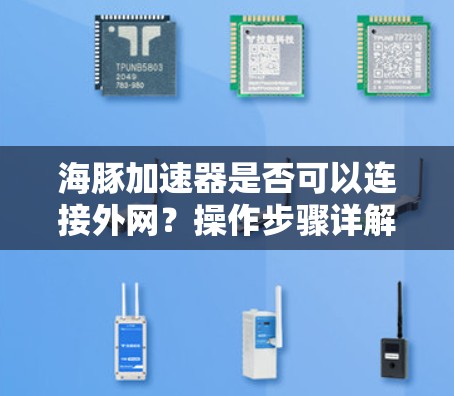海豚加速器是否可以连接外网?操作步骤详解 海豚加速器是否可以连接外网?操作步骤详解