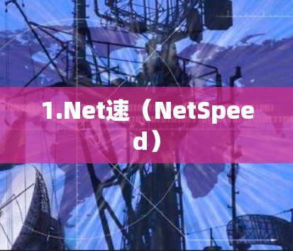 1.Net速（NetSpeed）