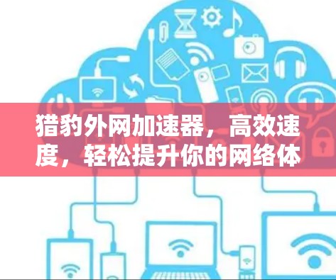 猎豹外网加速器，高效速度，轻松提升你的网络体验