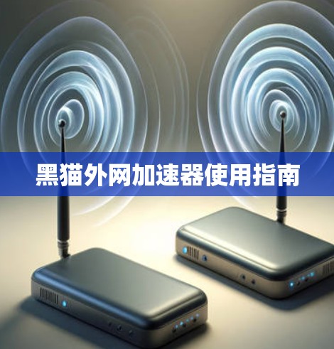 黑猫外网加速器使用指南