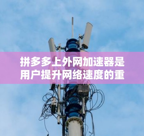 拼多多上外网加速器是用户提升网络速度的重要工具，以下是使用上外网加速器的详细步骤