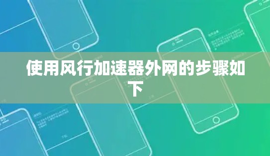 使用风行加速器外网的步骤如下