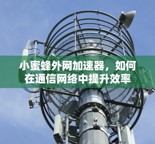 小蜜蜂外网加速器，如何在通信网络中提升效率