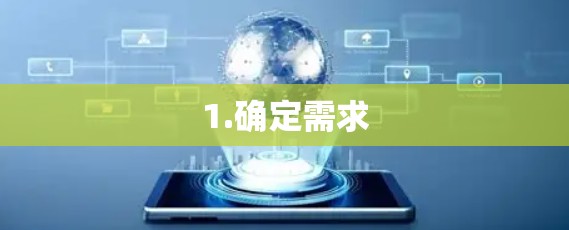 1.确定需求