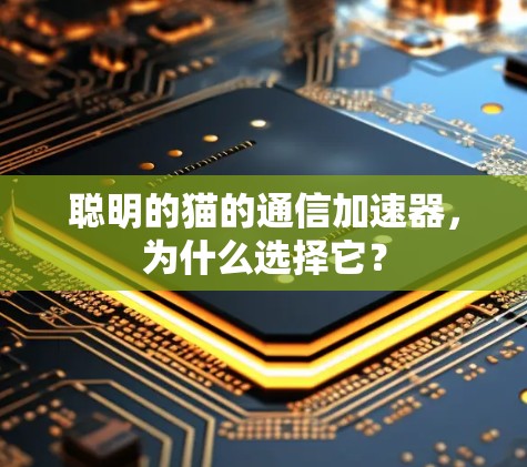 聪明的猫的通信加速器，为什么选择它？