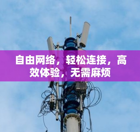 自由网络，轻松连接，高效体验，无需麻烦