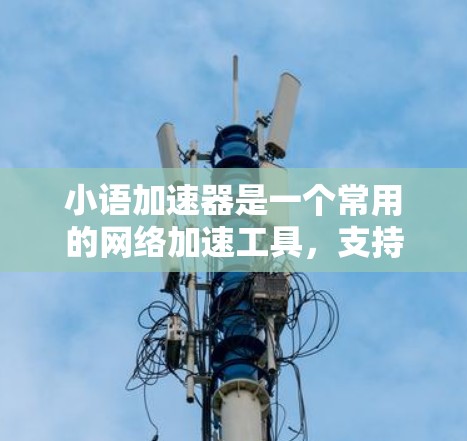小语加速器是一个常用的网络加速工具，支持将国外网（如国内拨打号码）转换为国内网（如国内拨打号码）的功能。具体而言，小语加速器可以帮助您将国外网号码转换为国内网号码，并支持多种国际电话号码类型，包括
