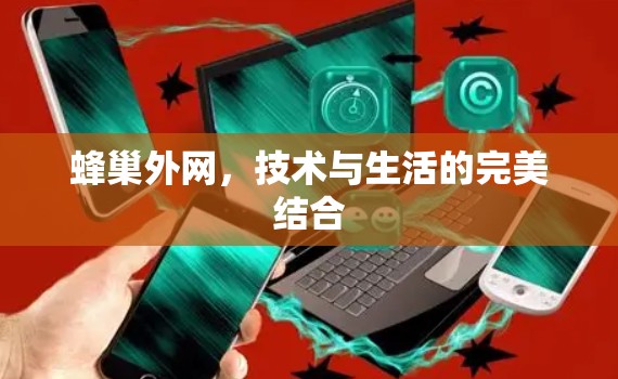 蜂巢外网，技术与生活的完美结合