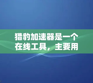 猎豹加速器是一个在线工具，主要用于加速从一个网络进入另一个网络，通常用于快速连接。以下是对其在看外网情况的详细分析