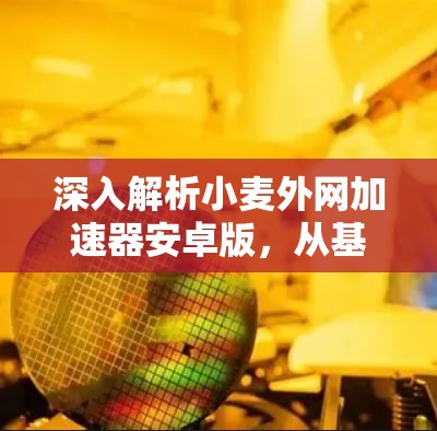 深入解析小麦外网加速器安卓版，从基础到优化