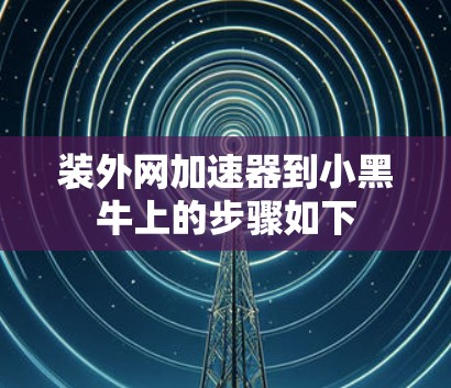 装外网加速器到小黑牛上的步骤如下