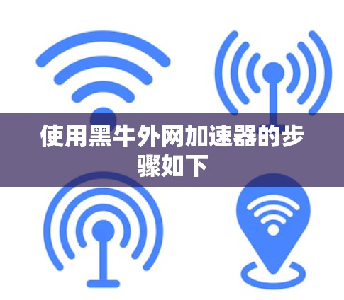 使用黑牛外网加速器的步骤如下