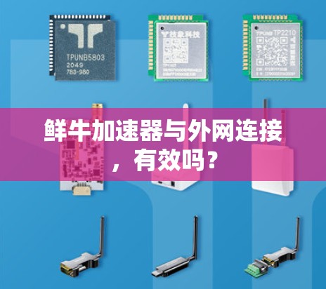 鲜牛加速器与外网连接，有效吗？