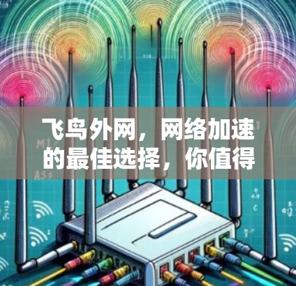 飞鸟外网，网络加速的最佳选择，你值得尝试！