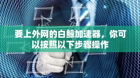 要上外网的白鲸加速器，你可以按照以下步骤操作