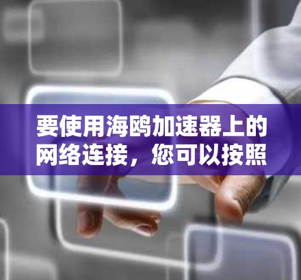 要使用海鸥加速器上的网络连接,您可以按照以下步骤操作 要使用海鸥加速器上的网络连接,您可以按照以下步骤操作