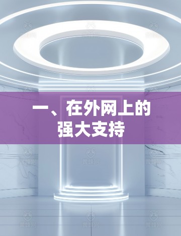 一、在外网上的强大支持 一、在外网上的强大支持