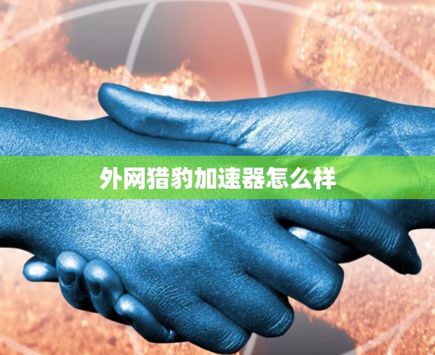 外网猎豹加速器怎么样