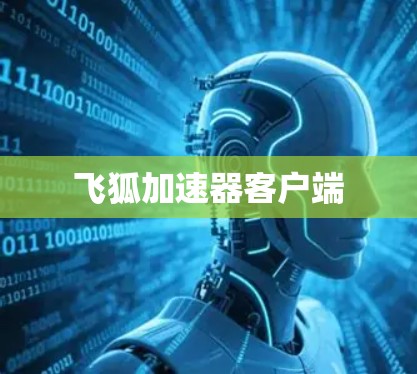 飞狐加速器客户端