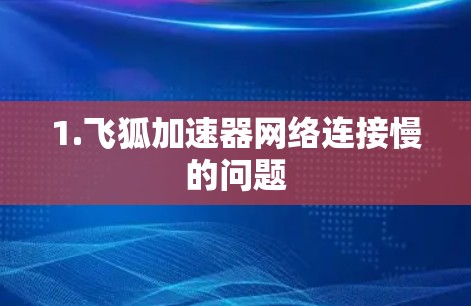 1.飞狐加速器网络连接慢的问题