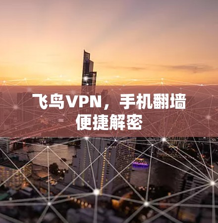 飞鸟VPN，手机翻墙便捷解密