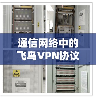 通信网络中的飞鸟VPN协议管理 通信网络中的飞鸟VPN协议管理