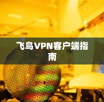 飞鸟VPN客户端指南 飞鸟VPN客户端指南
