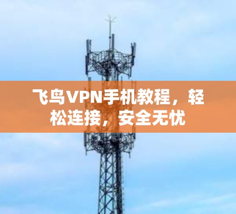 飞鸟VPN手机教程,轻松连接,安全无忧 飞鸟VPN手机教程,轻松连接,安全无忧
