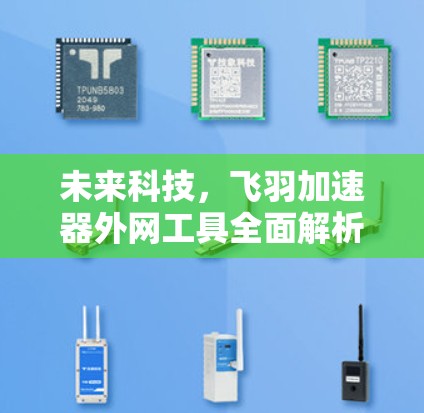 未来科技，飞羽加速器外网工具全面解析