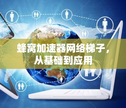 蜂窝加速器网络梯子,从基础到应用 蜂窝加速器网络梯子,从基础到应用
