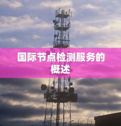 国际节点检测服务的概述