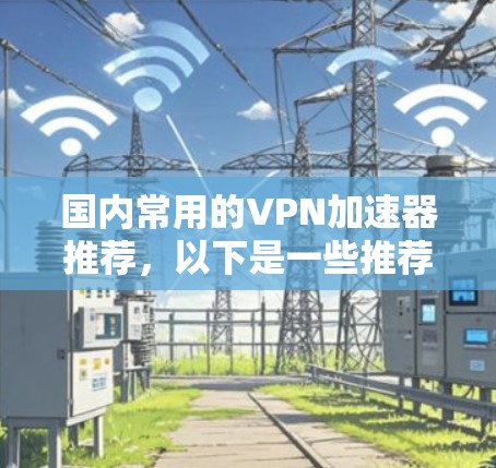 国内常用的VPN加速器推荐,以下是一些推荐的加速器及其特点 国内常用的VPN加速器推荐,以下是一些推荐的加速器及其特点