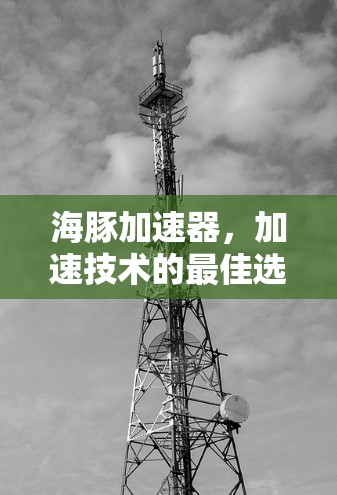 海豚加速器，加速技术的最佳选择