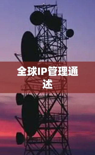 全球IP管理通述 全球IP管理通述