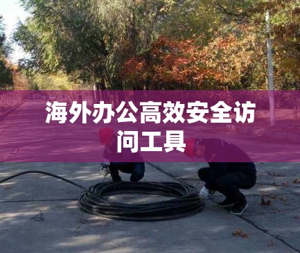 海外办公高效安全访问工具 海外办公高效安全访问工具