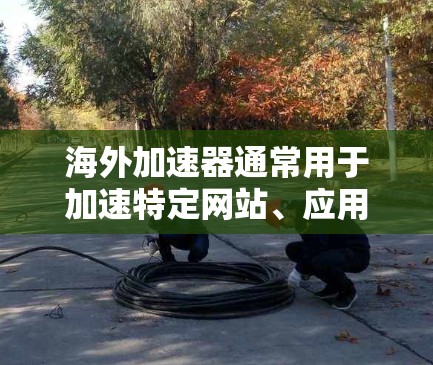 海外加速器通常用于加速特定网站、应用或网页的下载和加载过程。它们可以帮助用户更快地访问网页、下载应用、安装软件等。以下是海外加速器功能的一些常见介绍