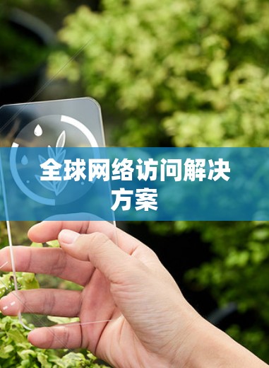 全球网络访问解决方案