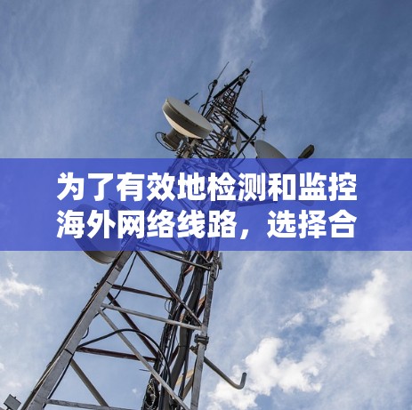 为了有效地检测和监控海外网络线路，选择合适的检测平台至关重要。以下是对一些主要的海外检测平台的详细分析和推荐