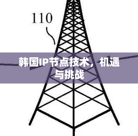 韩国IP节点技术，机遇与挑战