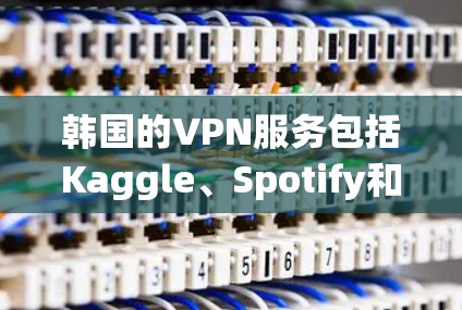 韩国的VPN服务包括Kaggle、Spotify和Khan Academy等平台，这些平台提供多样化的VPN功能，方便用户进行视频会议、文件传输、聊天等，并保护数据不被泄露。以下是这些平台的详细介绍