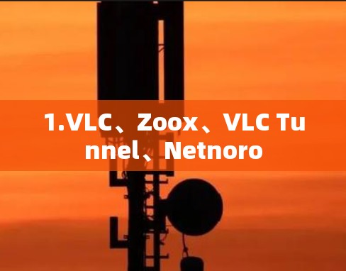 1.VLC、Zoox、VLC Tunnel、Netnoro