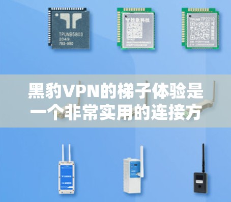黑豹VPN的梯子体验是一个非常实用的连接方式，适合需要同时连接多个设备或使用无线网络的用户。以下是关于黑豹VPN梯子体验的详细解析