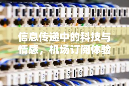 信息传递中的科技与情感，机场订阅体验
