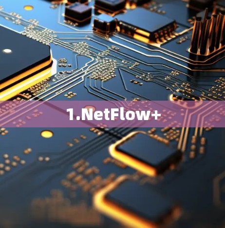 1.NetFlow+ 1.NetFlow+